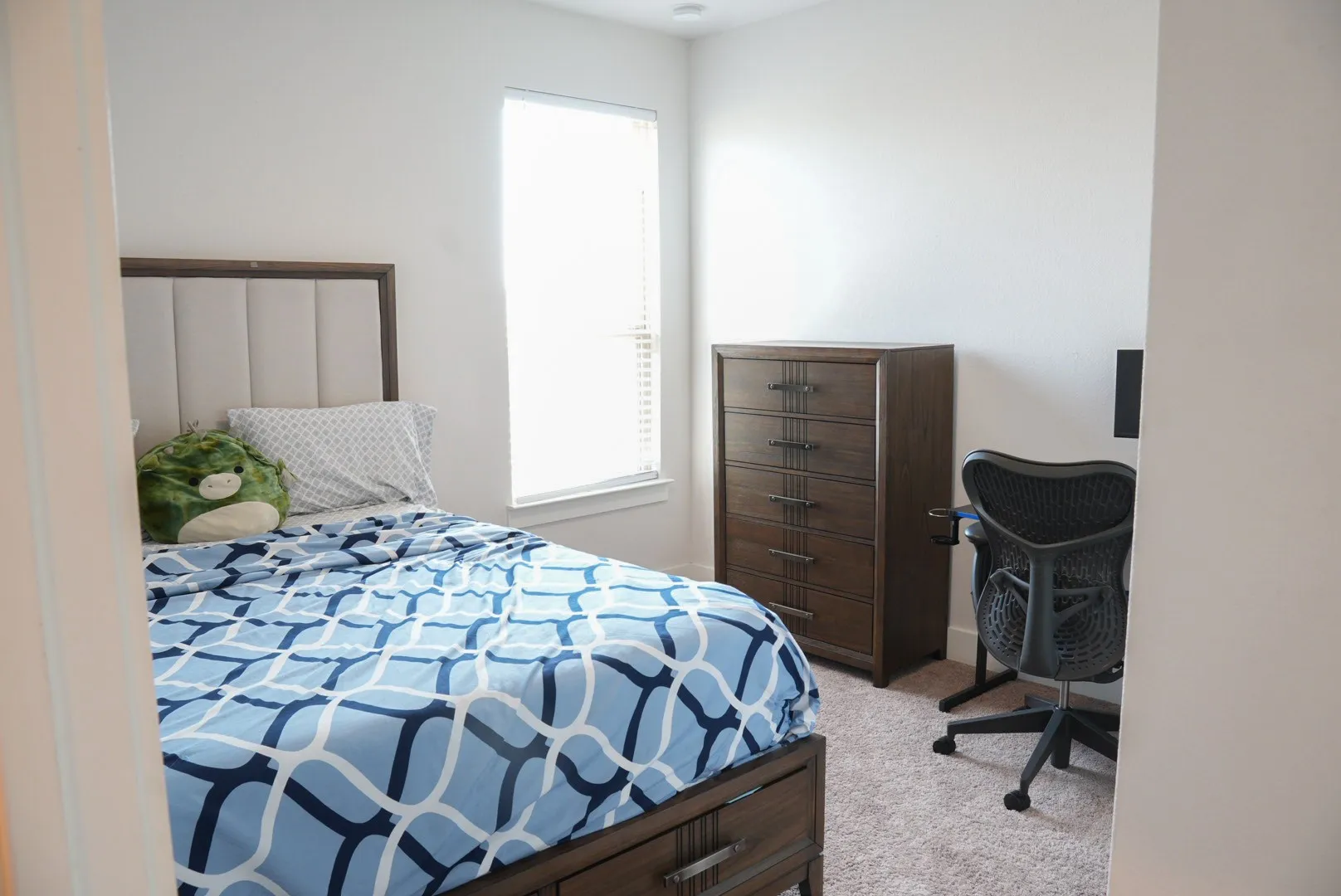 Plush carpeted flooring, a window with blinds, and a paneled headboard