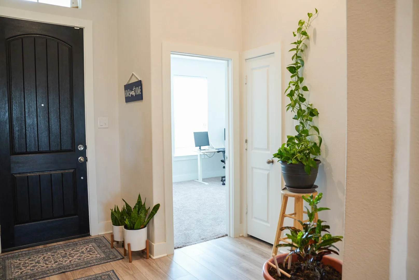 Black paneled entry door with an arched top, wood-finish flooring, and light-colored walls