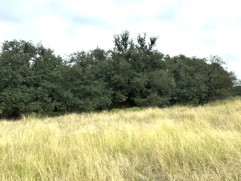 Ranch For Sale in Callahan County , 16271 FM 880, Cross Plains, Texas 76443, 0, 0, Garage spaces, 0 Sqft, built in 0, mls#21397842, Real Estate Agent in Cross Plains, Homes For Sale in Callahan county, Homes For Sale in Cross Plains, Realtor in Cross Plains Texas, Real Estate Brokerage Independent Realty Texas, Luminita Cordes Realtor