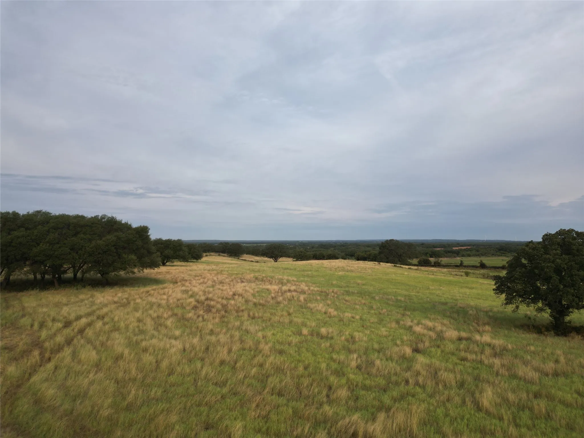 Ranch For Sale in Callahan County , 16271 FM 880, Cross Plains, Texas 76443, 0, 0, Garage spaces, 0 Sqft, built in 0, mls#21397842, Real Estate Agent in Cross Plains, Homes For Sale in Callahan county, Homes For Sale in Cross Plains, Realtor in Cross Plains Texas, Real Estate Brokerage Independent Realty Texas, Luminita Cordes Realtor