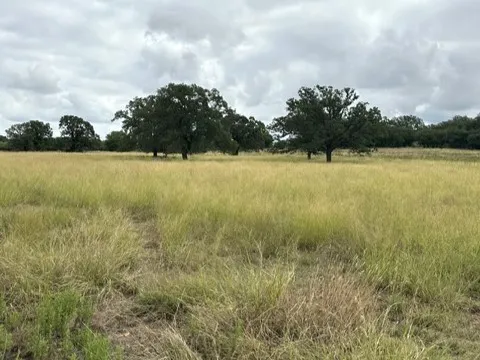 Ranch For Sale in Callahan County , 16271 FM 880, Cross Plains, Texas 76443, 0, 0, Garage spaces, 0 Sqft, built in 0, mls#21397842, Real Estate Agent in Cross Plains, Homes For Sale in Callahan county, Homes For Sale in Cross Plains, Realtor in Cross Plains Texas, Real Estate Brokerage Independent Realty Texas, Luminita Cordes Realtor