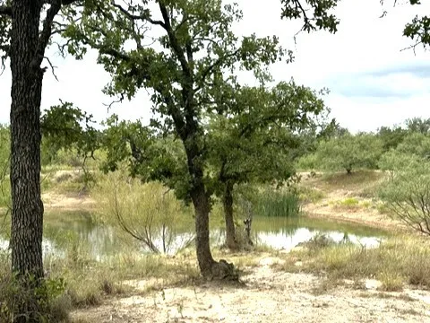 Ranch For Sale in Callahan County , 16271 FM 880, Cross Plains, Texas 76443, 0, 0, Garage spaces, 0 Sqft, built in 0, mls#21397842, Real Estate Agent in Cross Plains, Homes For Sale in Callahan county, Homes For Sale in Cross Plains, Realtor in Cross Plains Texas, Real Estate Brokerage Independent Realty Texas, Luminita Cordes Realtor