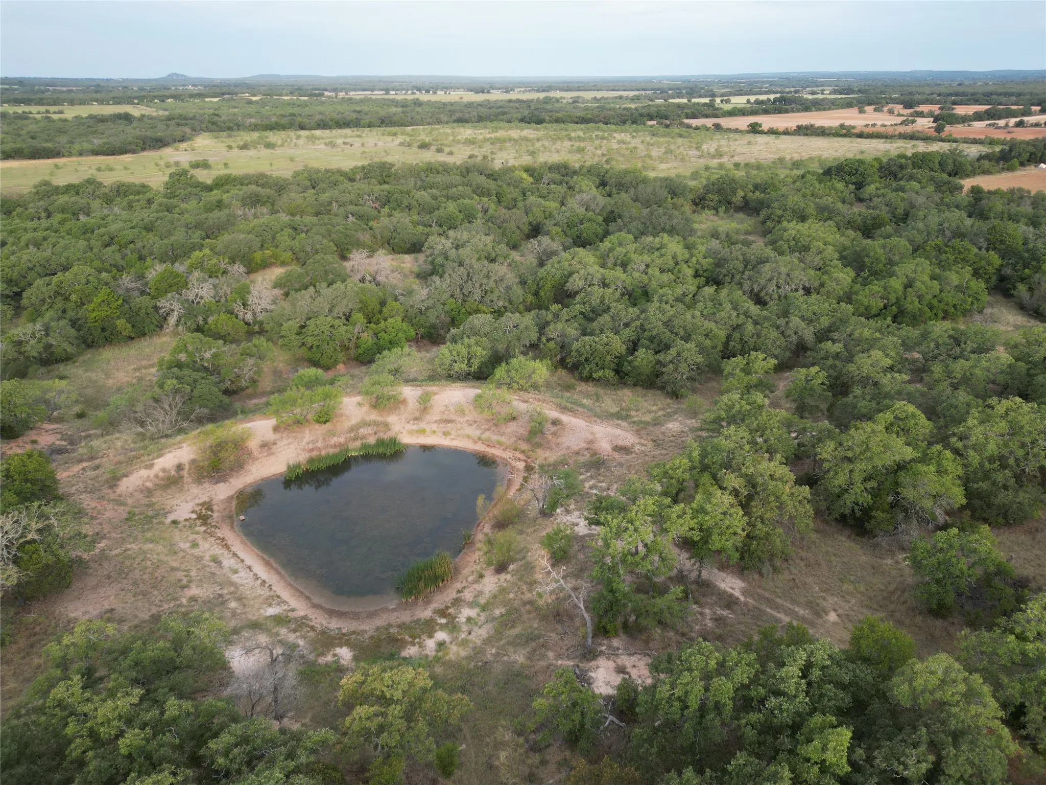 Ranch For Sale in Callahan County , 16271 FM 880, Cross Plains, Texas 76443, 0, 0, Garage spaces, 0 Sqft, built in 0, mls#21397842, Real Estate Agent in Cross Plains, Homes For Sale in Callahan county, Homes For Sale in Cross Plains, Realtor in Cross Plains Texas, Real Estate Brokerage Independent Realty Texas, Luminita Cordes Realtor