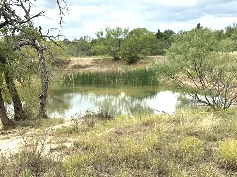 Ranch For Sale in Callahan County , 16271 FM 880, Cross Plains, Texas 76443, 0, 0, Garage spaces, 0 Sqft, built in 0, mls#21397842, Real Estate Agent in Cross Plains, Homes For Sale in Callahan county, Homes For Sale in Cross Plains, Realtor in Cross Plains Texas, Real Estate Brokerage Independent Realty Texas, Luminita Cordes Realtor