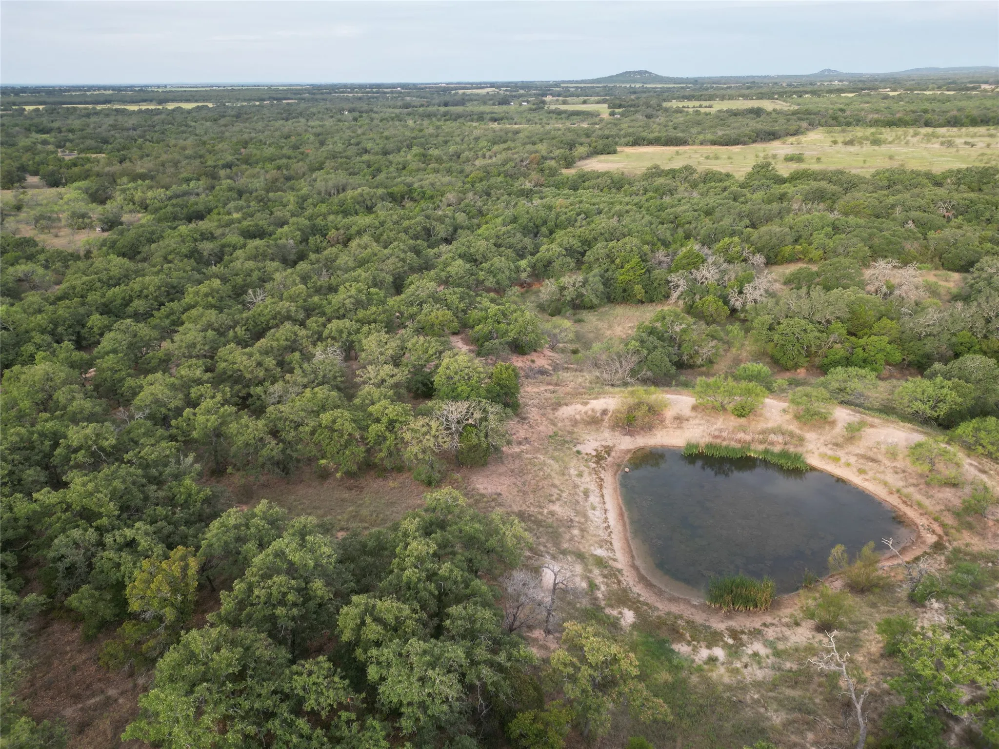 Ranch For Sale in Callahan County , 16271 FM 880, Cross Plains, Texas 76443, 0, 0, Garage spaces, 0 Sqft, built in 0, mls#21397842, Real Estate Agent in Cross Plains, Homes For Sale in Callahan county, Homes For Sale in Cross Plains, Realtor in Cross Plains Texas, Real Estate Brokerage Independent Realty Texas, Luminita Cordes Realtor