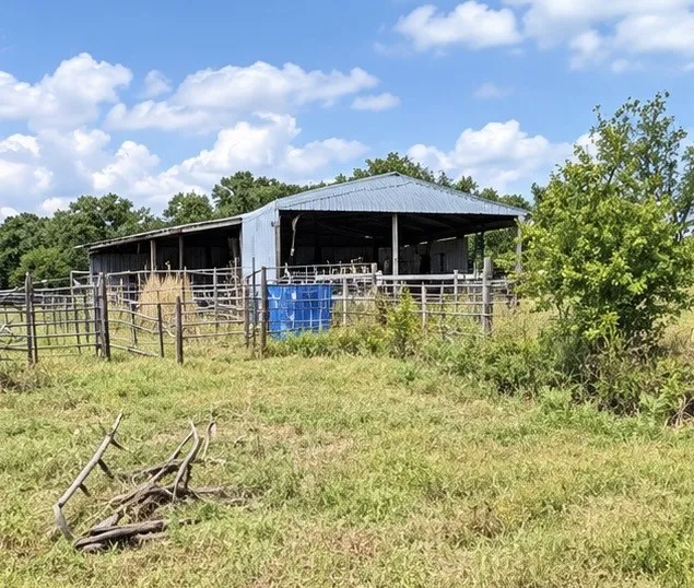 Ranch For Sale in Callahan County , 16271 FM 880, Cross Plains, Texas 76443, 0, 0, Garage spaces, 0 Sqft, built in 0, mls#21397842, Real Estate Agent in Cross Plains, Homes For Sale in Callahan county, Homes For Sale in Cross Plains, Realtor in Cross Plains Texas, Real Estate Brokerage Independent Realty Texas, Luminita Cordes Realtor