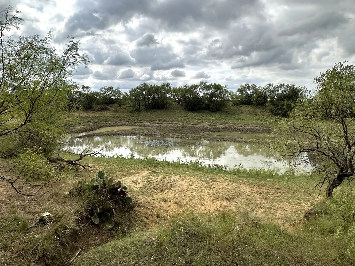 Ranch For Sale in Callahan County , 16271 FM 880, Cross Plains, Texas 76443, 0, 0, Garage spaces, 0 Sqft, built in 0, mls#21397842, Real Estate Agent in Cross Plains, Homes For Sale in Callahan county, Homes For Sale in Cross Plains, Realtor in Cross Plains Texas, Real Estate Brokerage Independent Realty Texas, Luminita Cordes Realtor