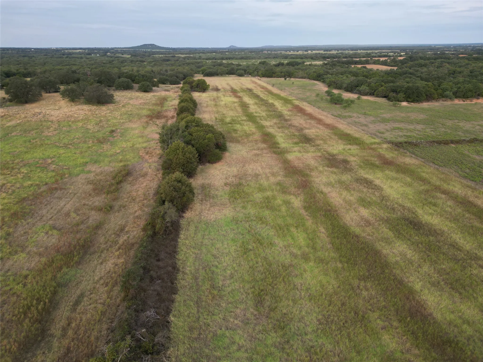 Ranch For Sale in Callahan County , 16271 FM 880, Cross Plains, Texas 76443, 0, 0, Garage spaces, 0 Sqft, built in 0, mls#21397842, Real Estate Agent in Cross Plains, Homes For Sale in Callahan county, Homes For Sale in Cross Plains, Realtor in Cross Plains Texas, Real Estate Brokerage Independent Realty Texas, Luminita Cordes Realtor