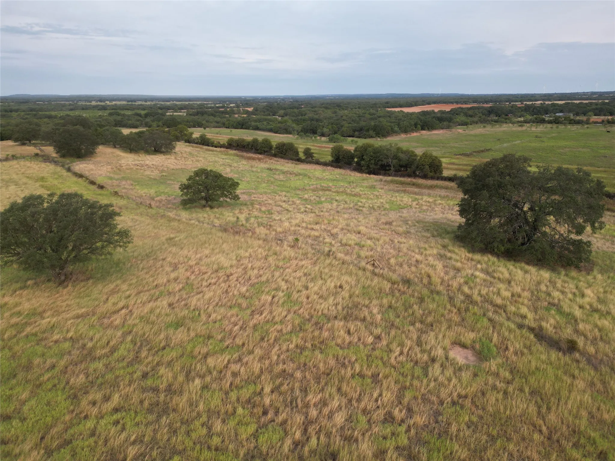 Ranch For Sale in Callahan County , 16271 FM 880, Cross Plains, Texas 76443, 0, 0, Garage spaces, 0 Sqft, built in 0, mls#21397842, Real Estate Agent in Cross Plains, Homes For Sale in Callahan county, Homes For Sale in Cross Plains, Realtor in Cross Plains Texas, Real Estate Brokerage Independent Realty Texas, Luminita Cordes Realtor