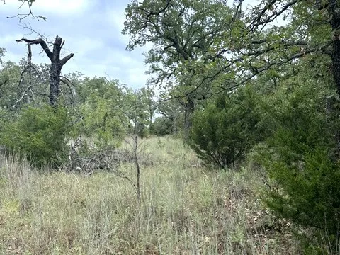 Ranch For Sale in Callahan County , 16271 FM 880, Cross Plains, Texas 76443, 0, 0, Garage spaces, 0 Sqft, built in 0, mls#21397842, Real Estate Agent in Cross Plains, Homes For Sale in Callahan county, Homes For Sale in Cross Plains, Realtor in Cross Plains Texas, Real Estate Brokerage Independent Realty Texas, Luminita Cordes Realtor
