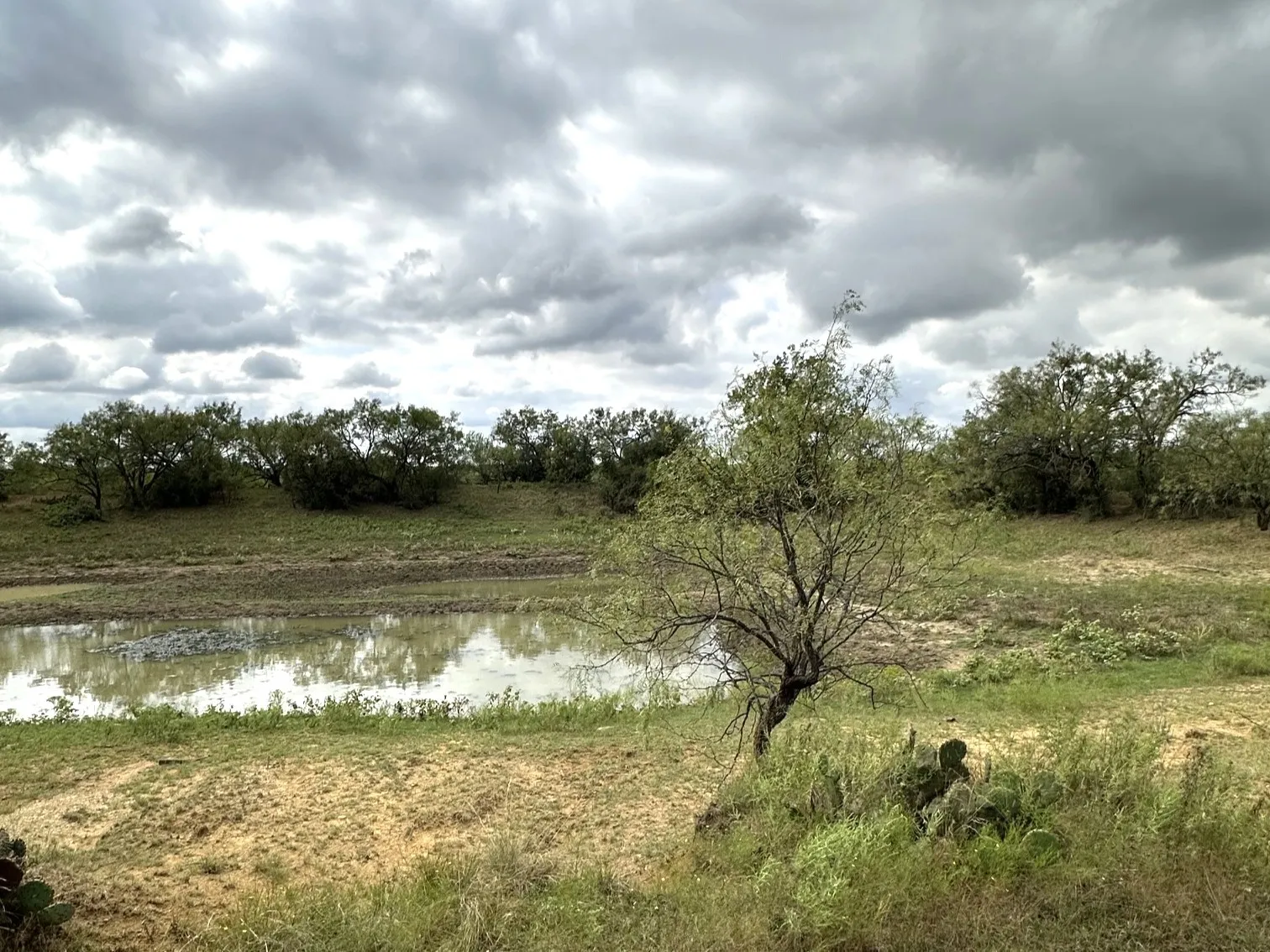 Ranch For Sale in Callahan County , 16271 FM 880, Cross Plains, Texas 76443, 0, 0, Garage spaces, 0 Sqft, built in 0, mls#21397842, Real Estate Agent in Cross Plains, Homes For Sale in Callahan county, Homes For Sale in Cross Plains, Realtor in Cross Plains Texas, Real Estate Brokerage Independent Realty Texas, Luminita Cordes Realtor