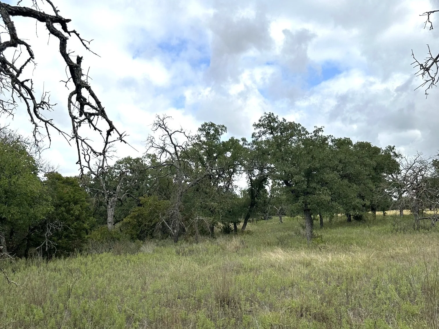 Ranch For Sale in Callahan County , 16271 FM 880, Cross Plains, Texas 76443, 0, 0, Garage spaces, 0 Sqft, built in 0, mls#21397842, Real Estate Agent in Cross Plains, Homes For Sale in Callahan county, Homes For Sale in Cross Plains, Realtor in Cross Plains Texas, Real Estate Brokerage Independent Realty Texas, Luminita Cordes Realtor