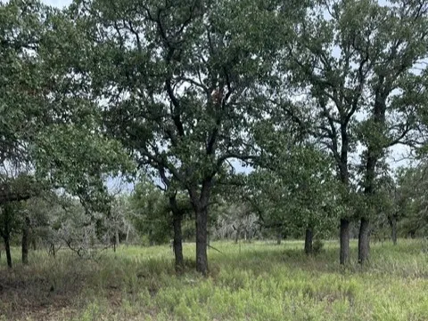 Ranch For Sale in Callahan County , 16271 FM 880, Cross Plains, Texas 76443, 0, 0, Garage spaces, 0 Sqft, built in 0, mls#21397842, Real Estate Agent in Cross Plains, Homes For Sale in Callahan county, Homes For Sale in Cross Plains, Realtor in Cross Plains Texas, Real Estate Brokerage Independent Realty Texas, Luminita Cordes Realtor