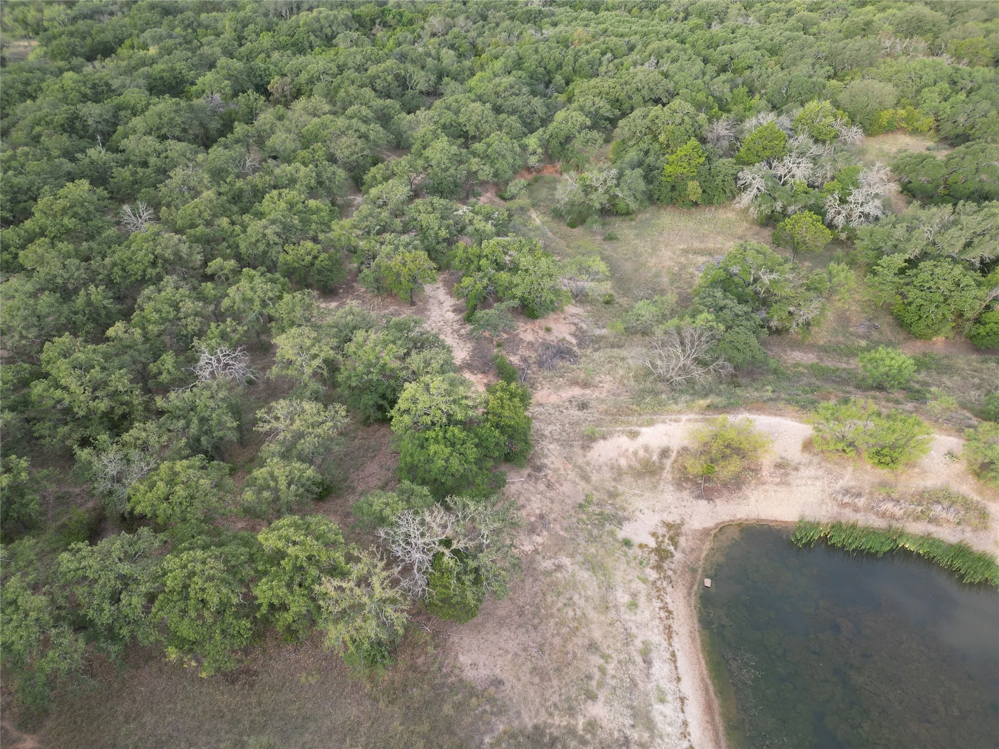 Ranch For Sale in Callahan County , 16271 FM 880, Cross Plains, Texas 76443, 0, 0, Garage spaces, 0 Sqft, built in 0, mls#21397842, Real Estate Agent in Cross Plains, Homes For Sale in Callahan county, Homes For Sale in Cross Plains, Realtor in Cross Plains Texas, Real Estate Brokerage Independent Realty Texas, Luminita Cordes Realtor