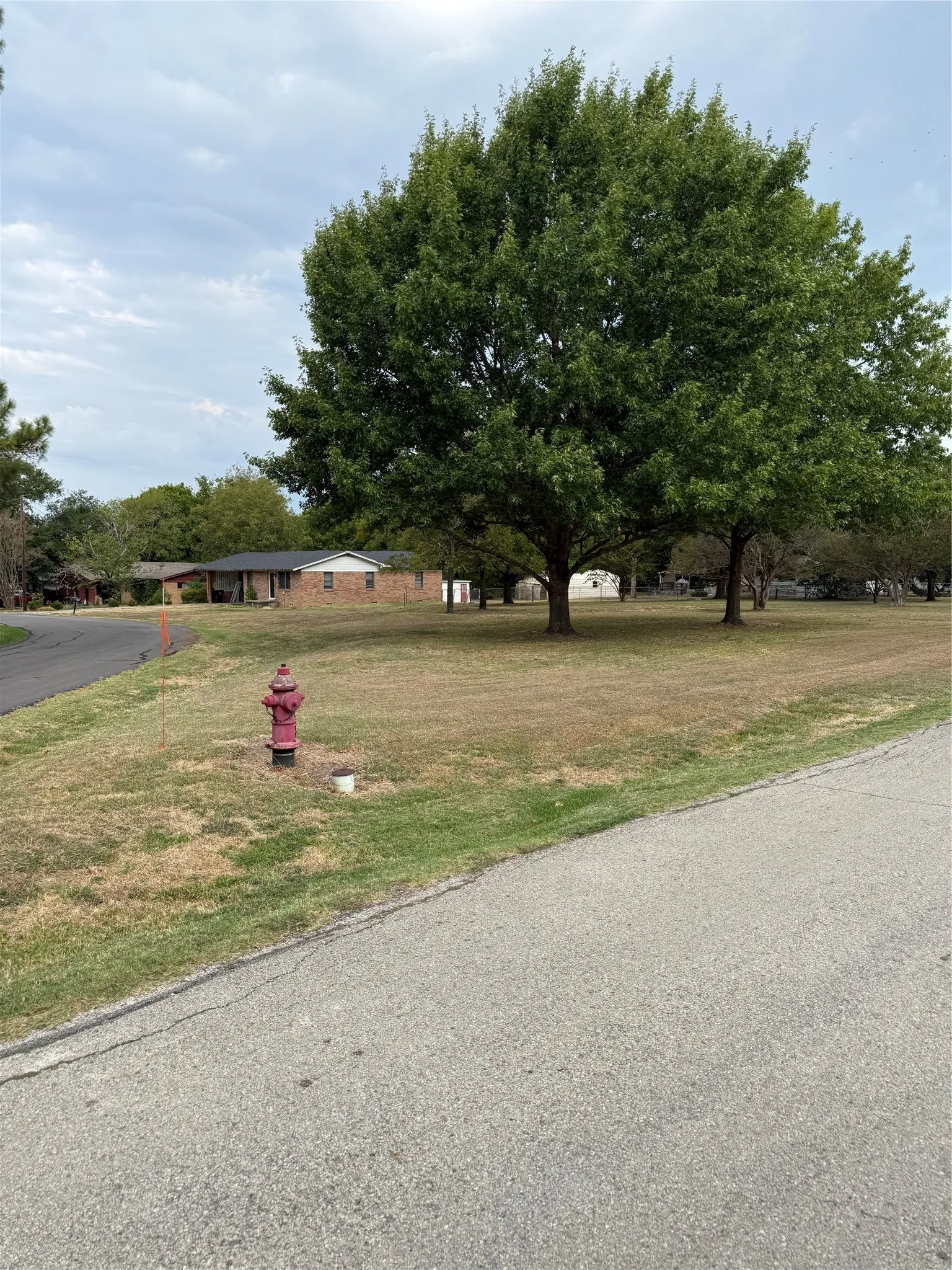 Unimproved Land For Sale in Van Zandt County , 800 4th Street, Wills Point, Texas 75169, 0, 0, Garage spaces, 0 Sqft, built in 0, mls#21398463, Real Estate Agent in Wills Point, Homes For Sale in Van Zandt county, Homes For Sale in Wills Point, Realtor in Wills Point Texas, Real Estate Brokerage Independent Realty Texas, Luminita Cordes Realtor
