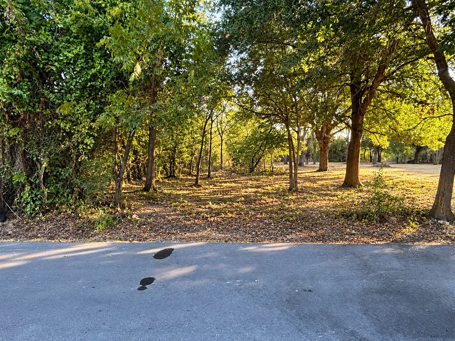 Unimproved Land For Sale in Kaufman County , 0 Dixon Street, Terrell, Texas 75160, 0, 0, Garage spaces, 0 Sqft, built in 0, mls#21400188, Real Estate Agent in Terrell, Homes For Sale in Kaufman county, Homes For Sale in Terrell, Realtor in Terrell Texas, Real Estate Brokerage Independent Realty Texas, Luminita Cordes Realtor