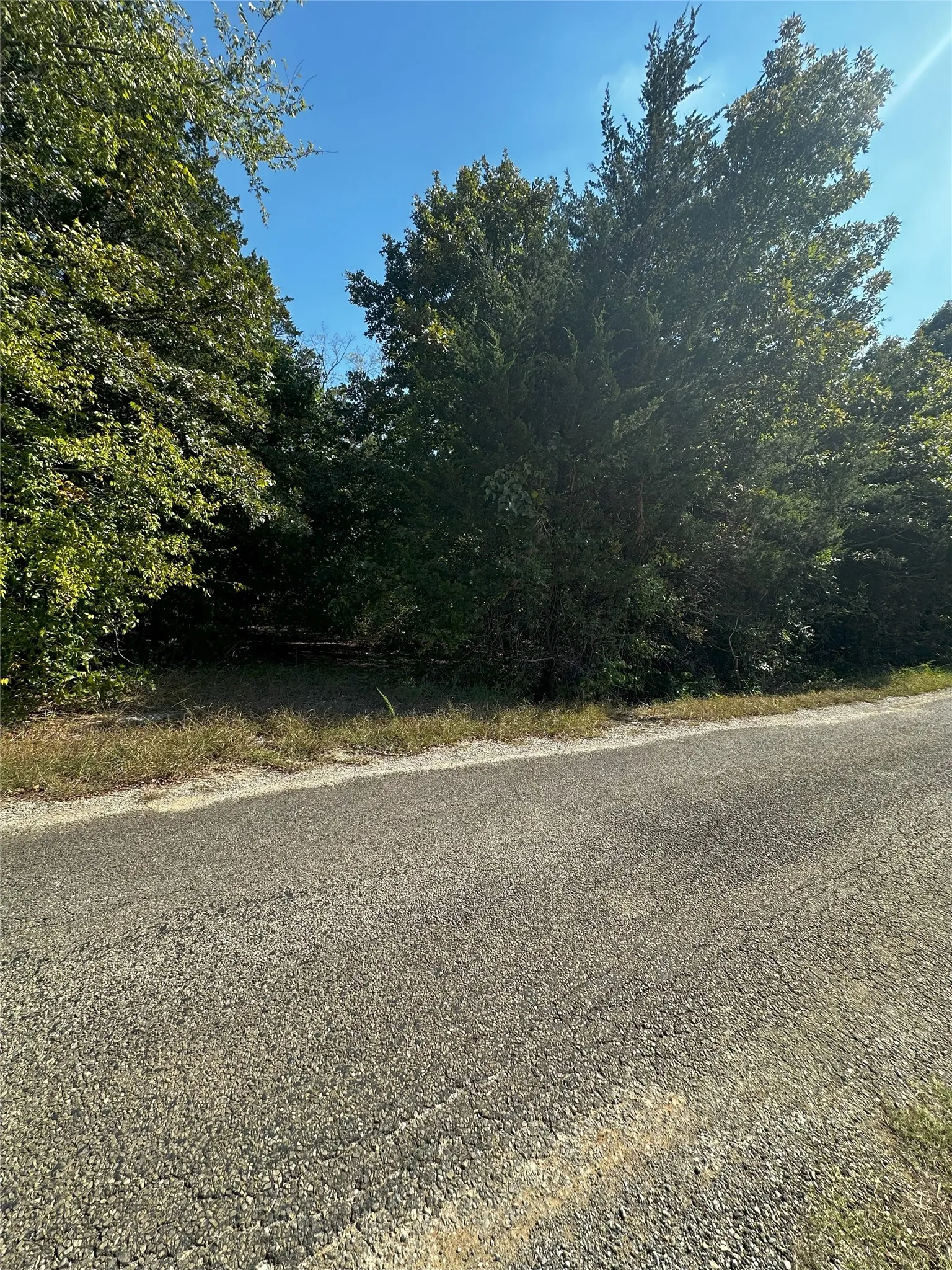 Unimproved Land For Sale in Grayson County , 66 Shady Woods Lane, Denison, Texas 75021, 0, 0, Garage spaces, 0 Sqft, built in 0, mls#21400806, Real Estate Agent in Denison, Homes For Sale in Grayson county, Homes For Sale in Denison, Realtor in Denison Texas, Real Estate Brokerage Independent Realty Texas, Luminita Cordes Realtor