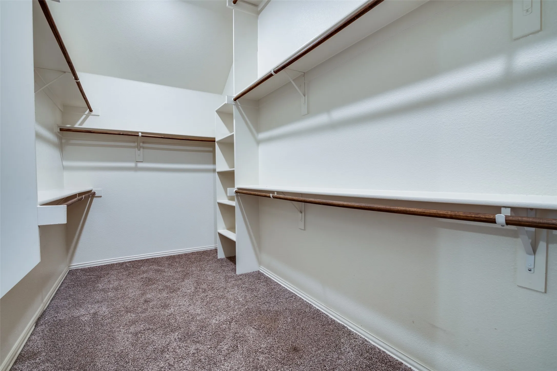 Spacious walk-in closet featuring multiple shelving units, varied hanging rods, and neutral-toned carpeting