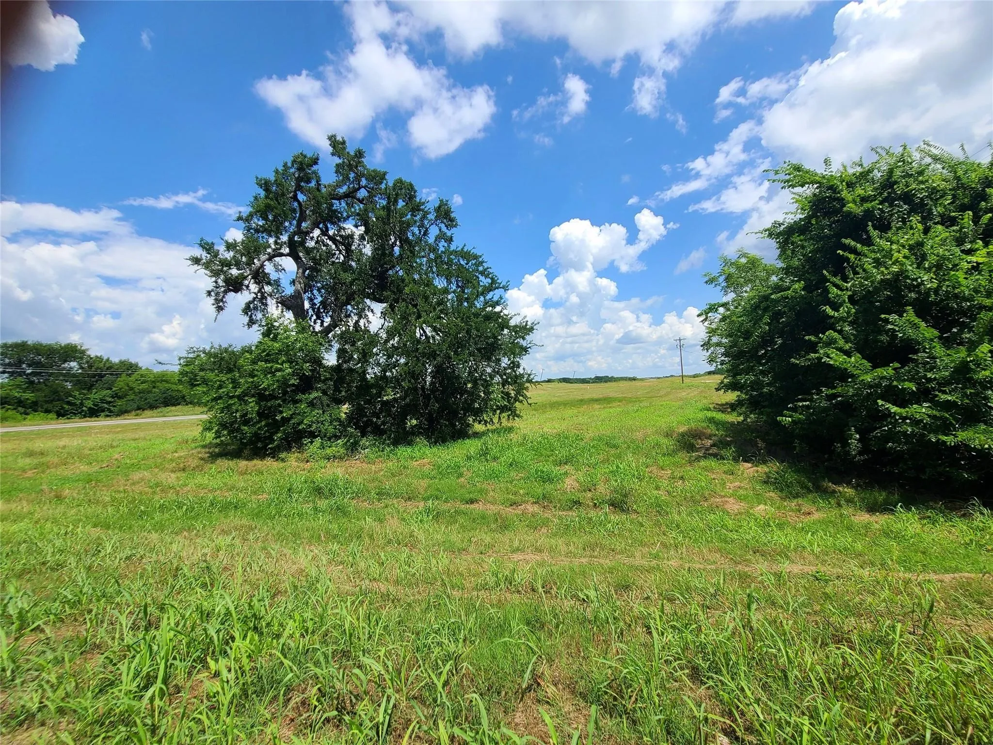 Unimproved Land For Sale in Grayson County , 0 Plainview Road, Sherman, Texas 75092, 0, 0, Garage spaces, 0 Sqft, built in 0, mls#21400804, Real Estate Agent in Sherman, Homes For Sale in Grayson county, Homes For Sale in Sherman, Realtor in Sherman Texas, Real Estate Brokerage Independent Realty Texas, Luminita Cordes Realtor