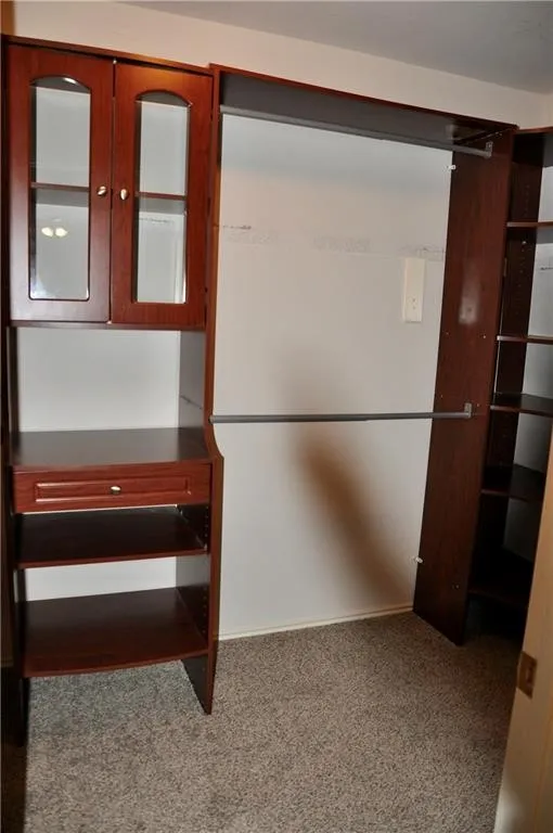 • Incredible walk-in primary closet featuring a premium custom organization system with built-in drawers, glass-front cabinets, and shelving