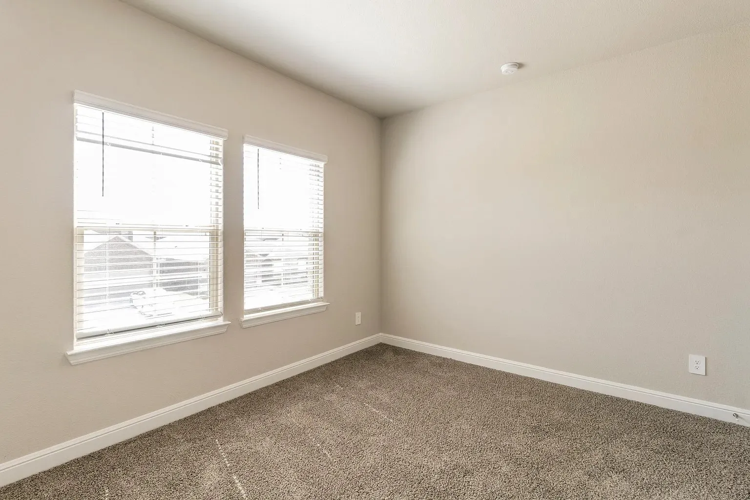Carpeted flooring, neutral wall paint, two windows with blinds, white trim, and a ceiling-mounted light fixture