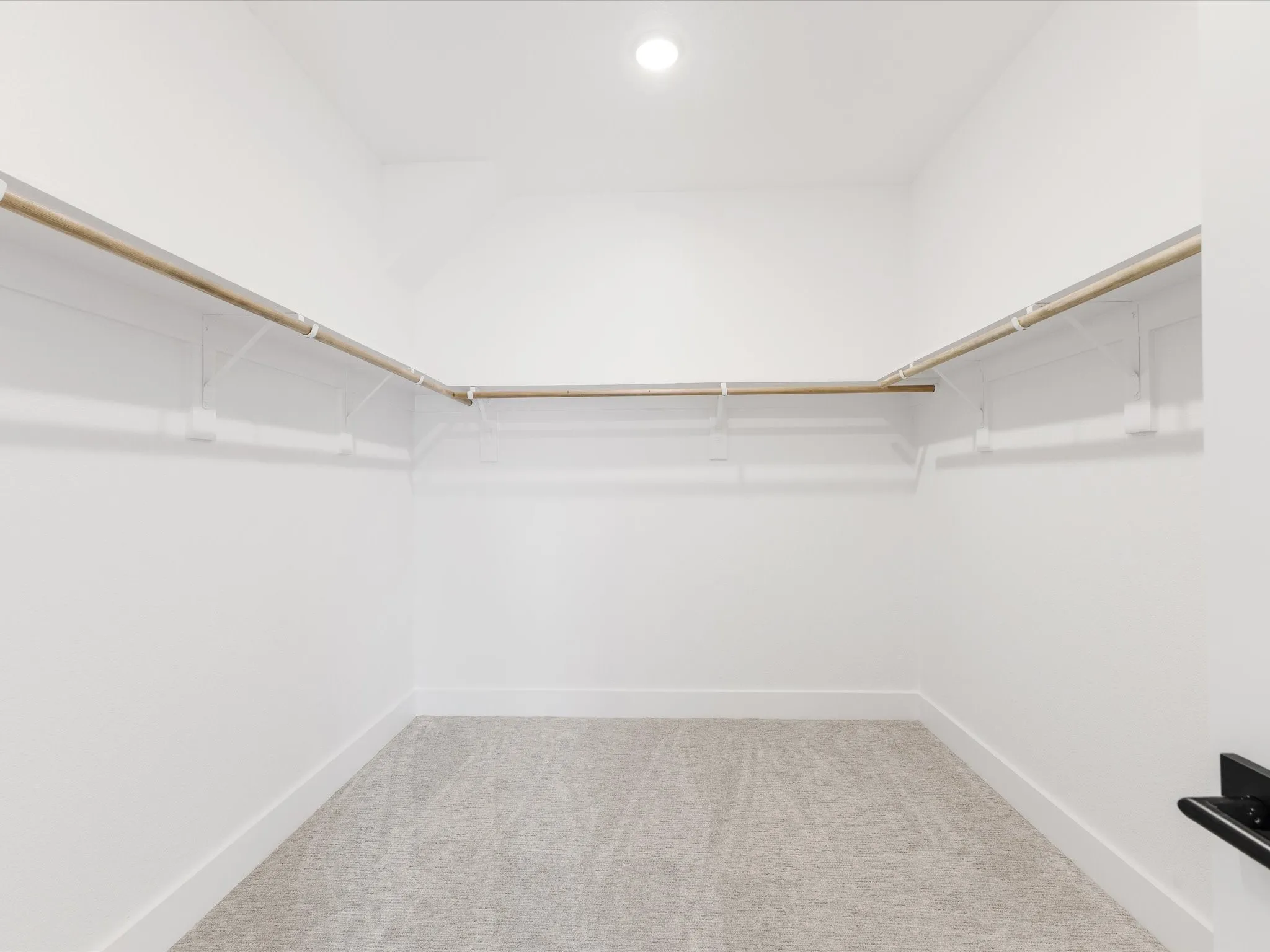 Walk in closet featuring light colored carpet