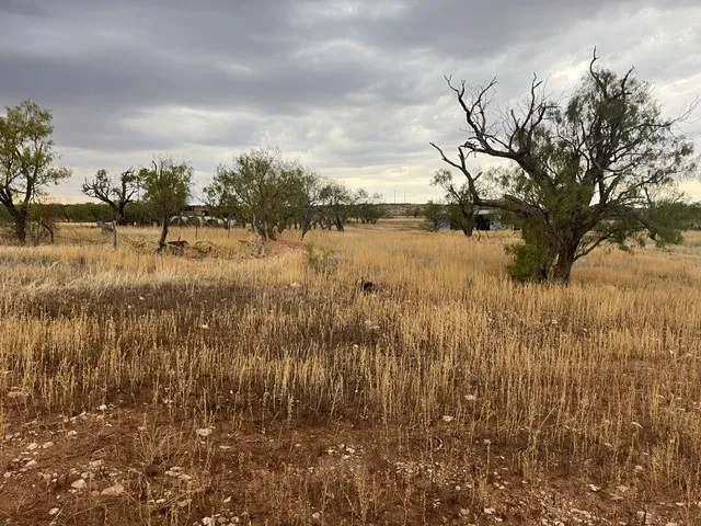 view of the property