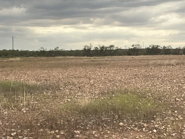 view of the property