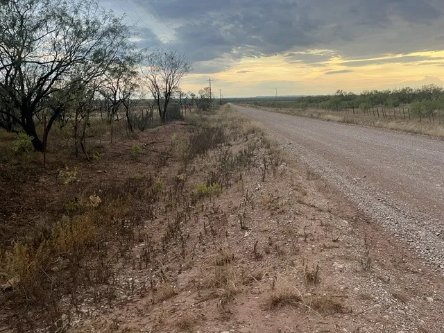 county road frontage