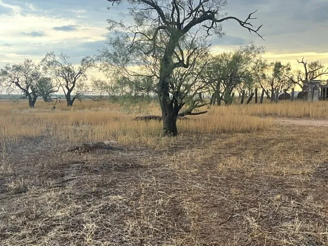 view of the property