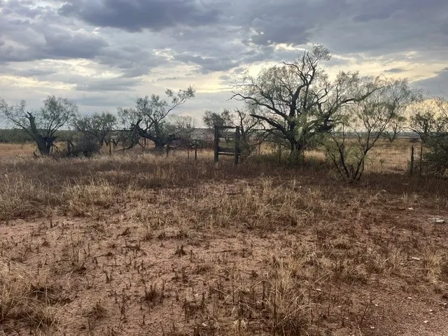 view of the property