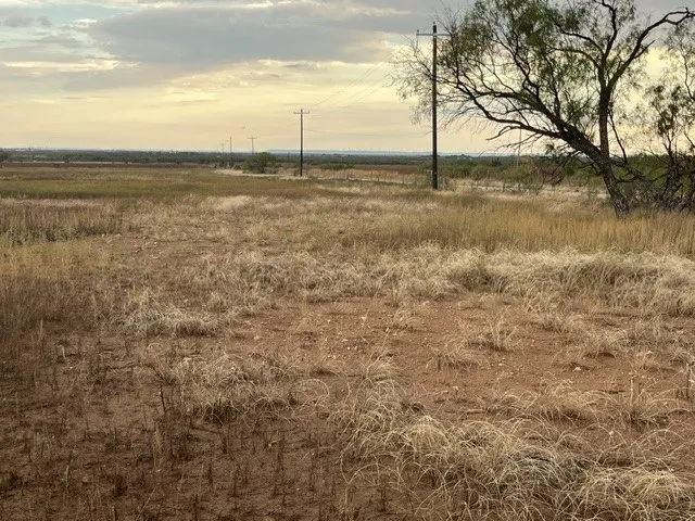 view of the property