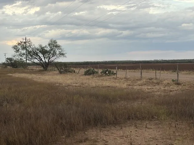 view of the property