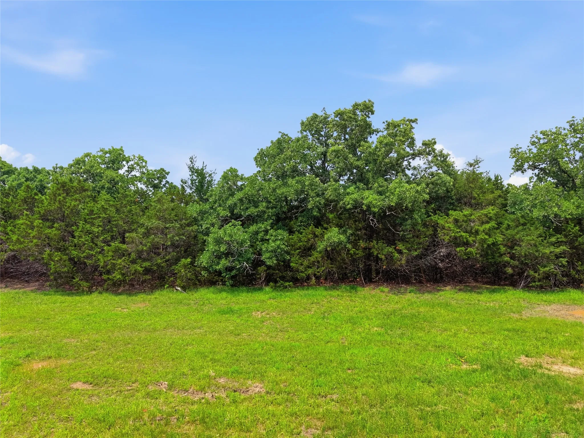 Expansive green space featuring a clear blue sky, lush green grass, and dense mature trees providing natural screening