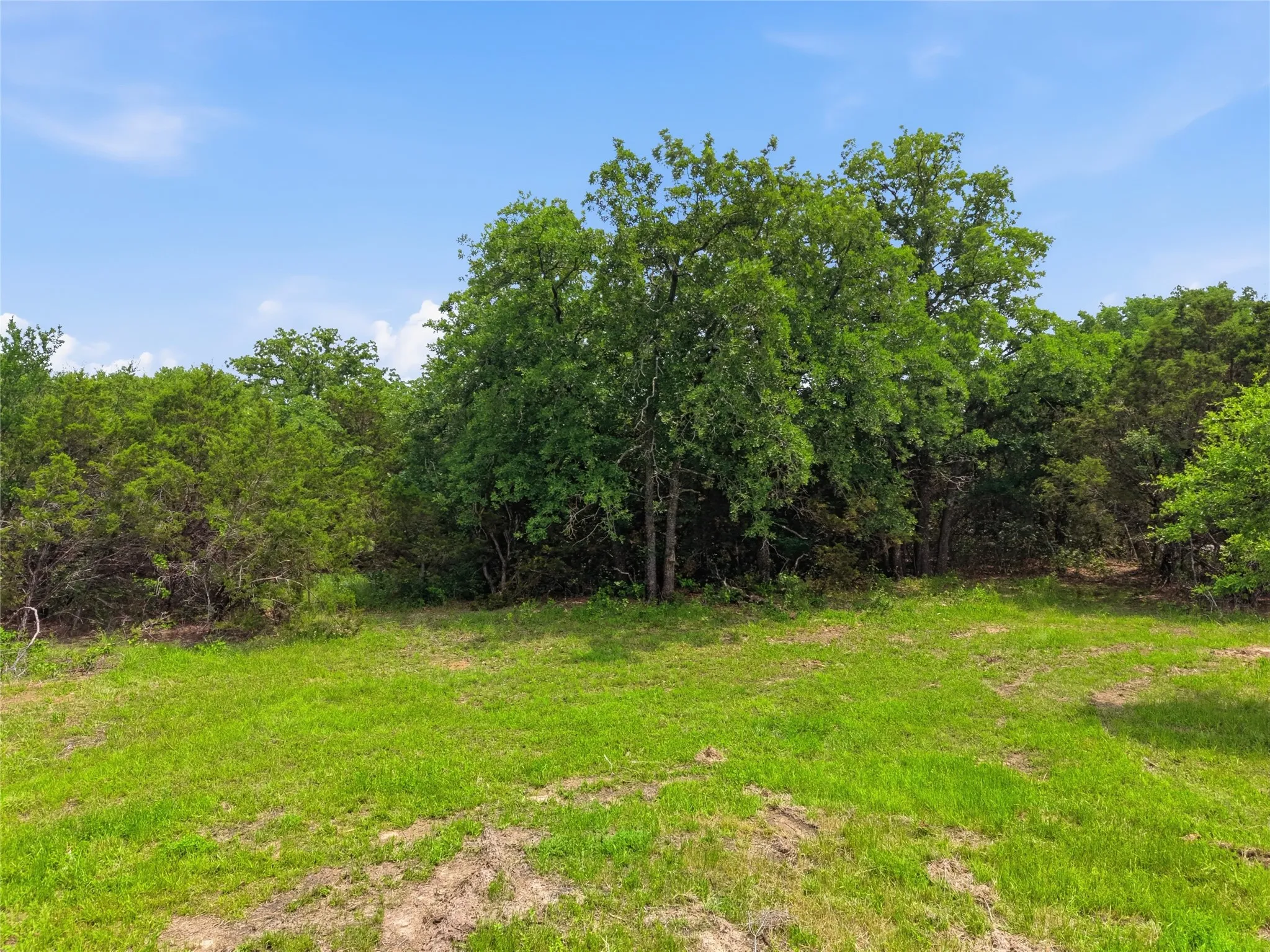 Expansive lot featuring a vibrant green lawn, mature trees, and natural wooded borders