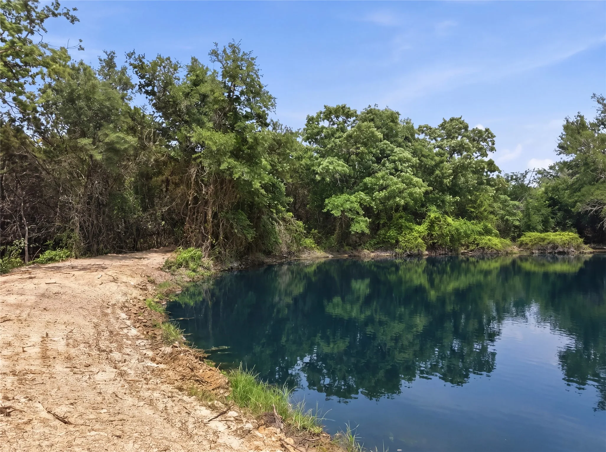 Natural pond with clear water reflecting surrounding foliage, framed by established trees and a partially cleared bank