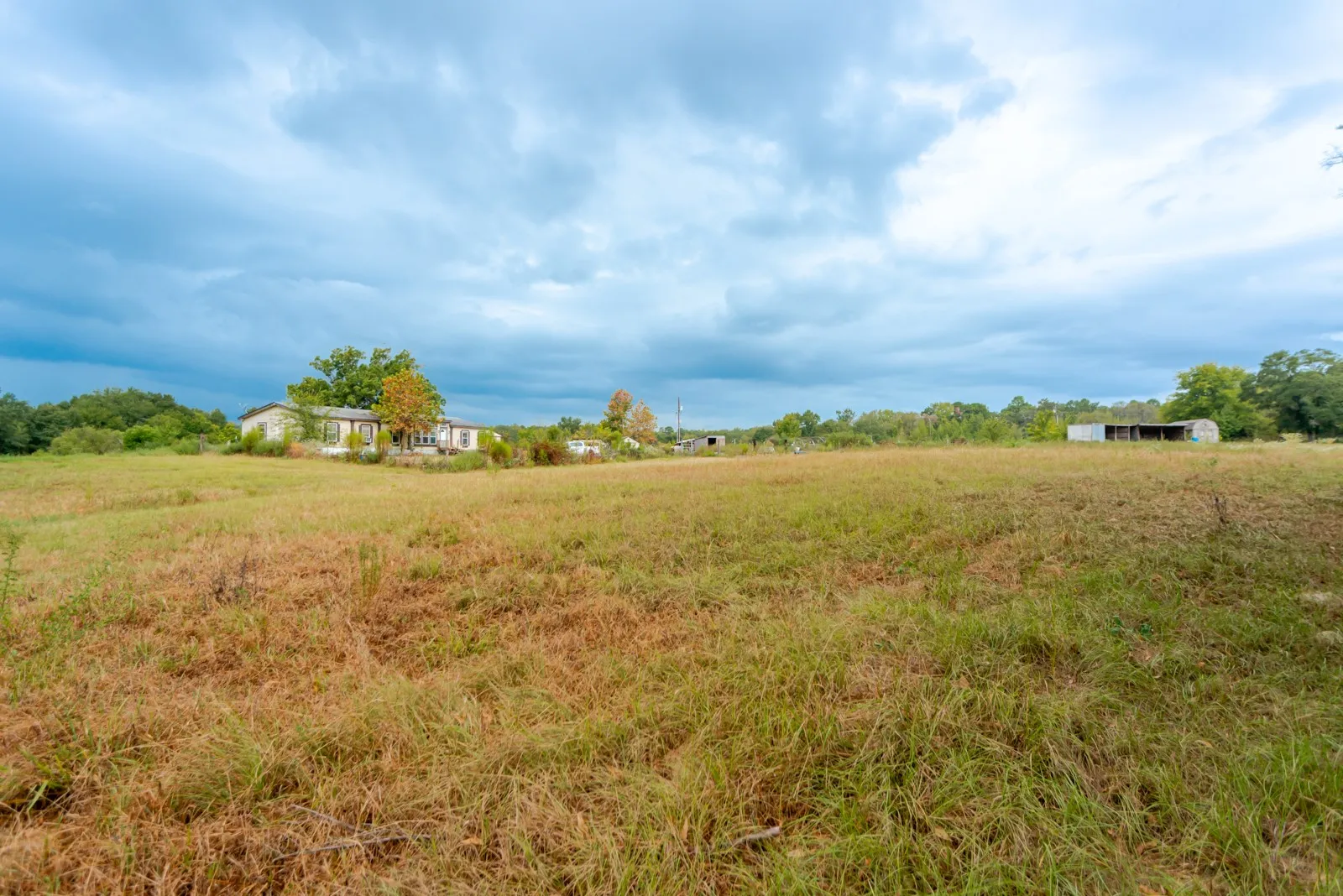 Expansive open field with scattered foliage and distant structures