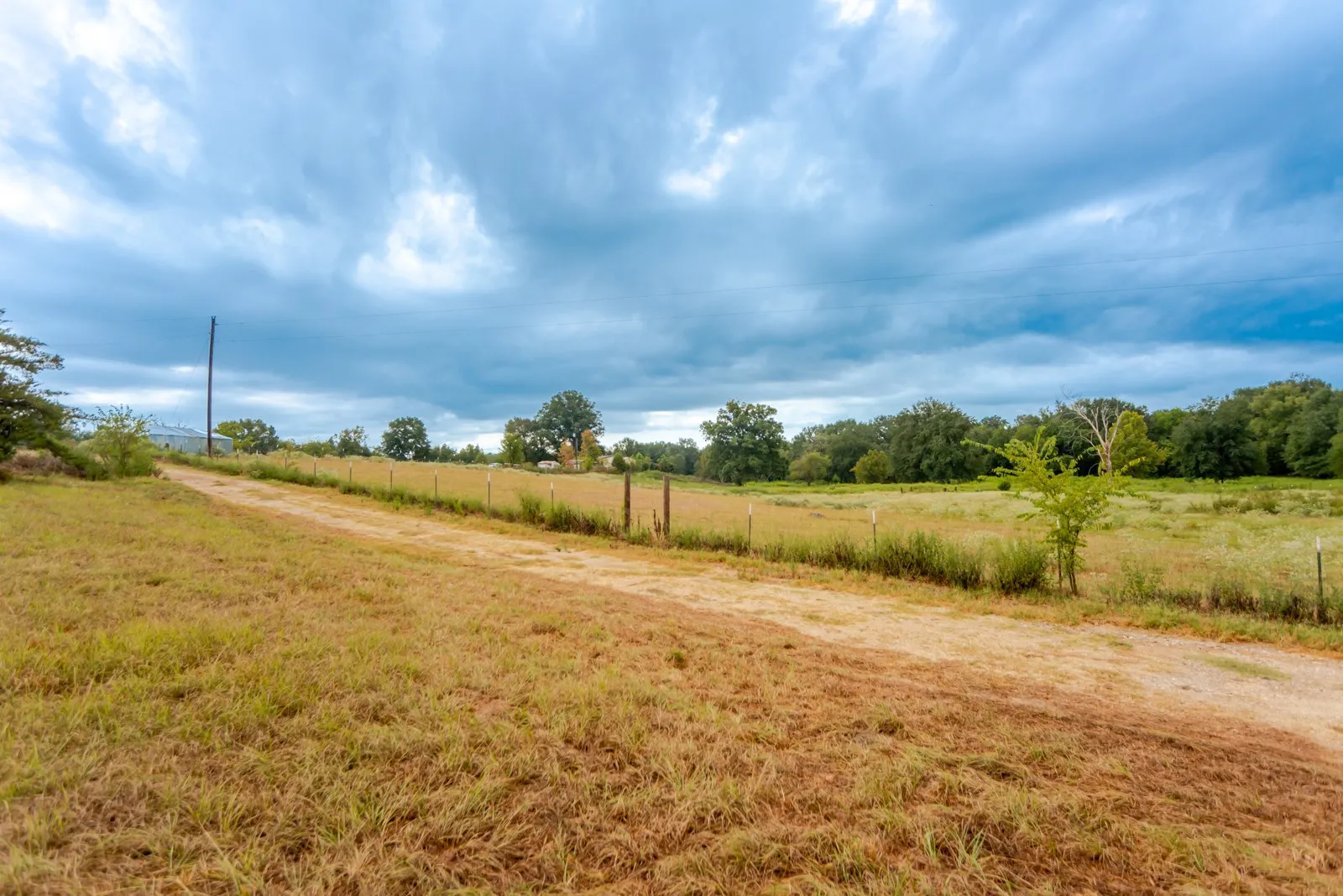 Expansive rural lot featuring a dirt road, partial wire fencing, and mature trees in the background