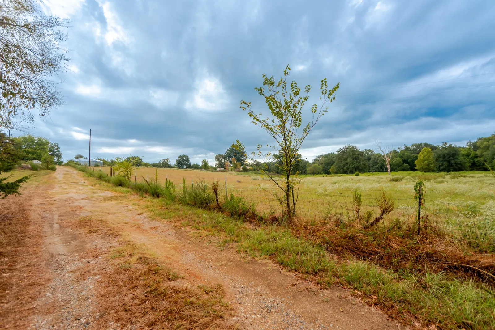 Rural property featuring a dirt path, expansive grassy fields, and mature trees