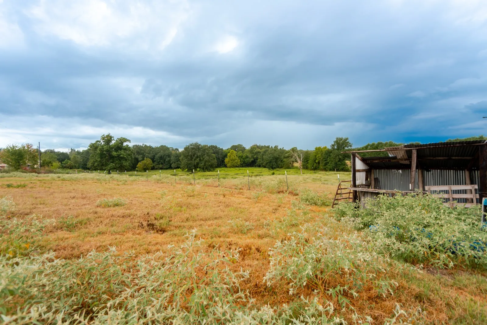 Expansive open field with scattered mature trees and a rustic shed structure
