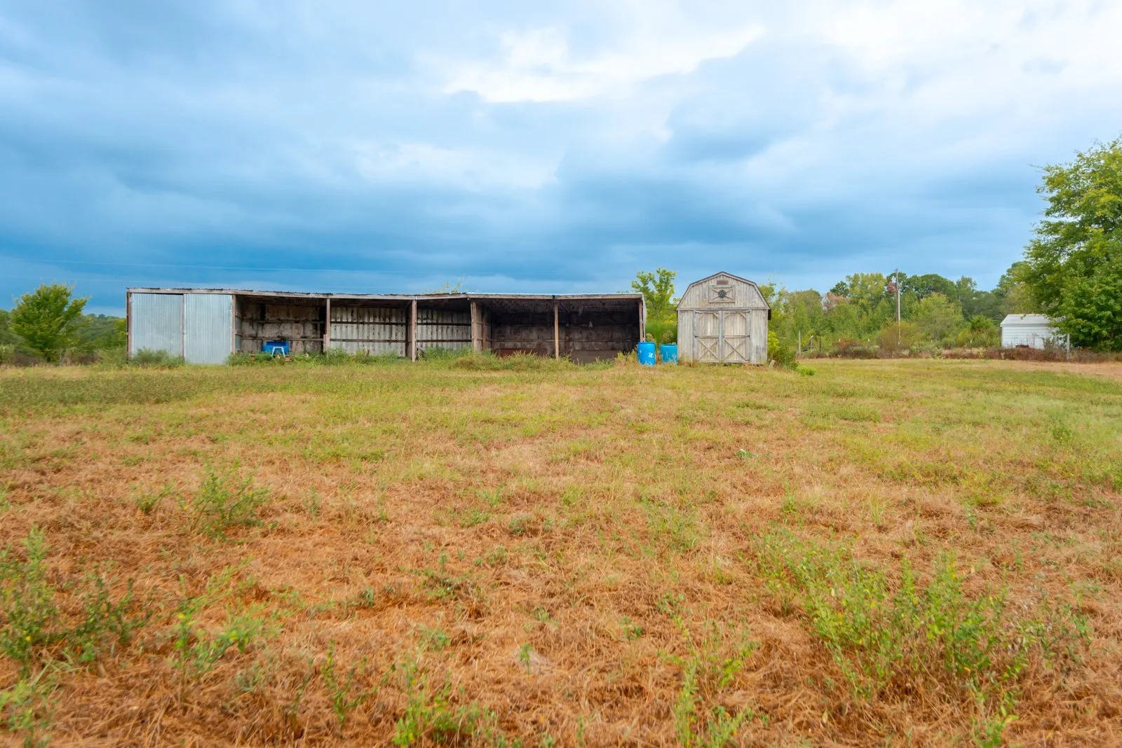 Expansive grass field with a multi-stall utility structure, a gabled shed with a cross-brace door, and a smaller utility shed