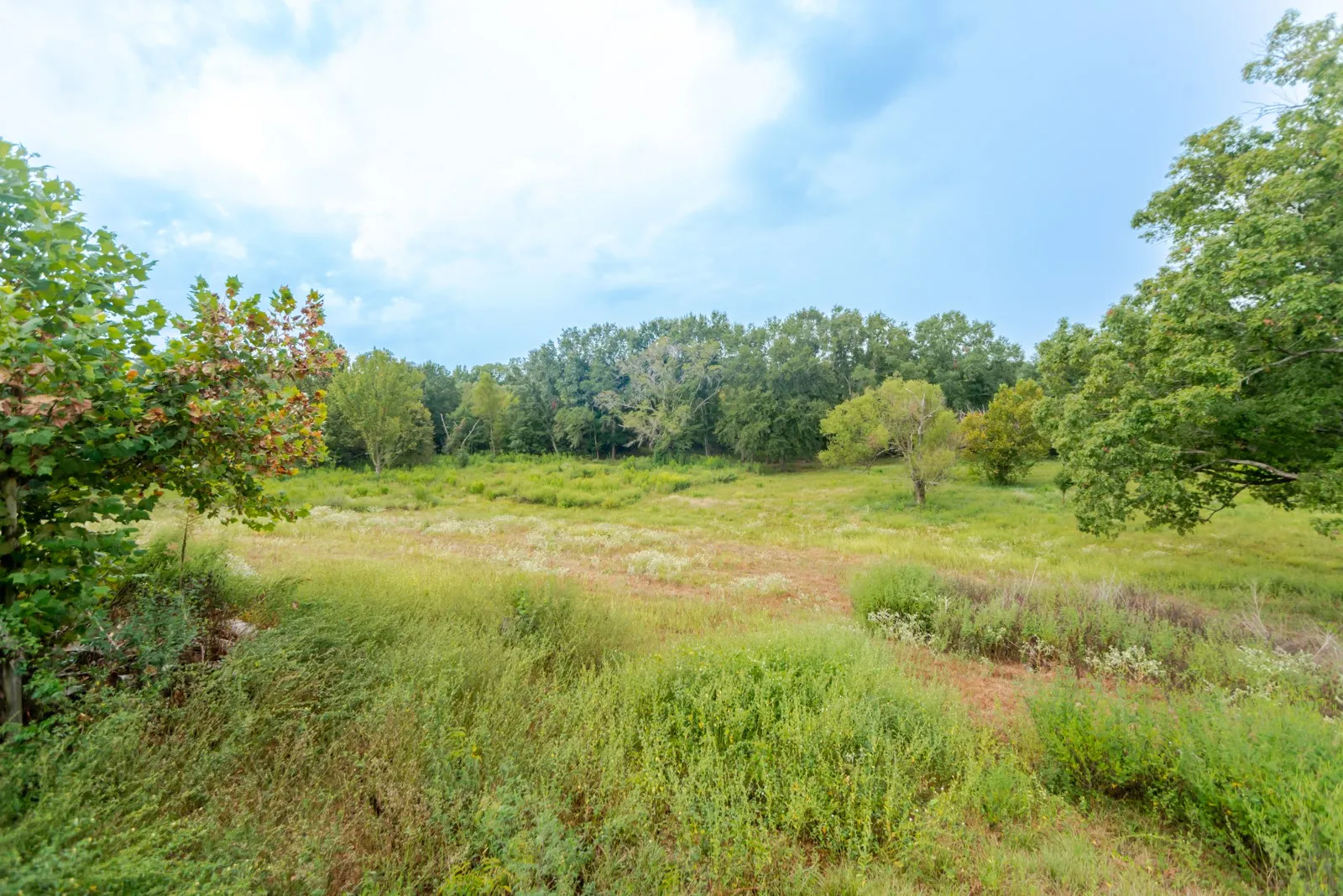 Mobile Home For Sale in Wood County , 1262 Fm 1647, Winnsboro, Texas 75494, 5 Bedroom, 3 Bathroom, Garage spaces, 2,432 Sqft, built in 2002, mls#21395994, Real Estate Agent in Winnsboro, Homes For Sale in Wood county, Homes For Sale in Winnsboro, Realtor in Winnsboro Texas, Real Estate Brokerage Independent Realty Texas, Luminita Cordes Realtor