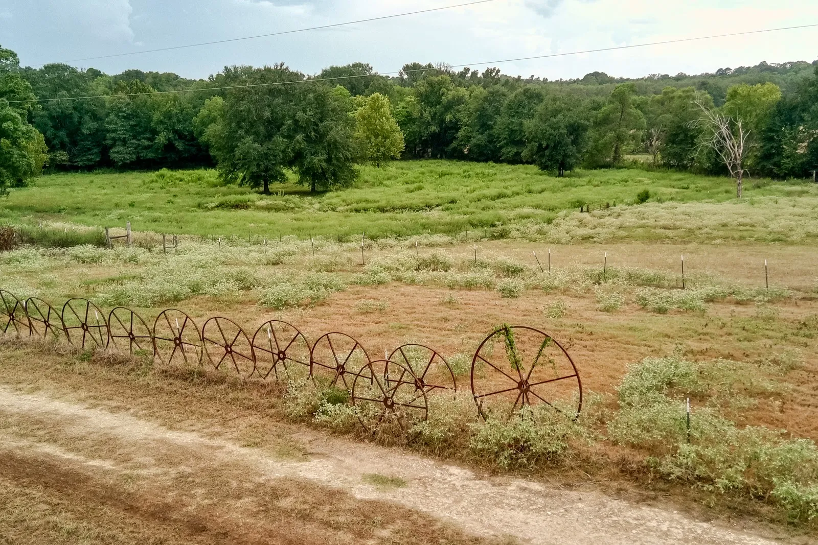 Expansive open field with scattered trees and a decorative metal wheel fence