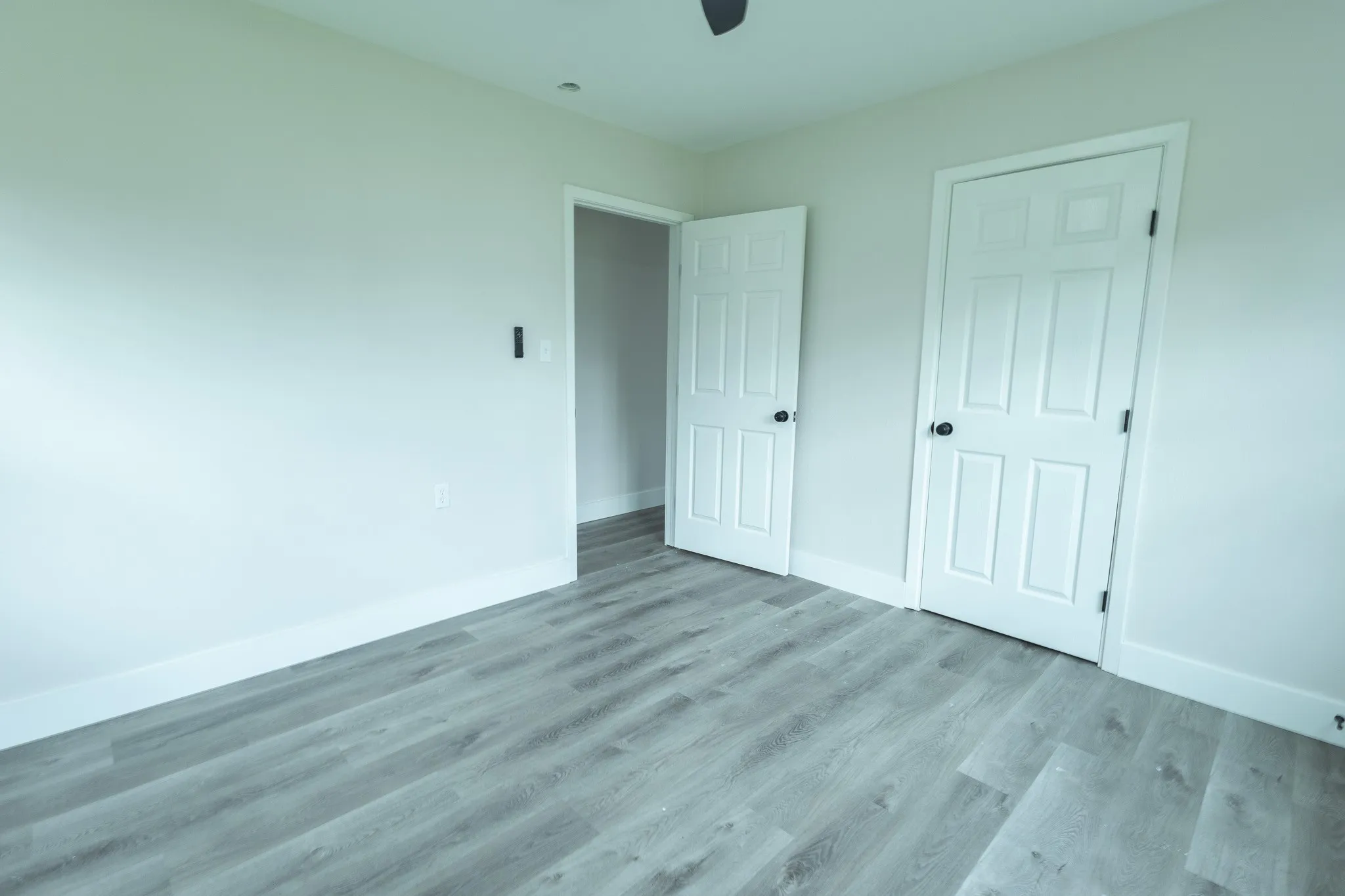 Pale gray walls with white trim, wood-finish flooring, and white paneled doors