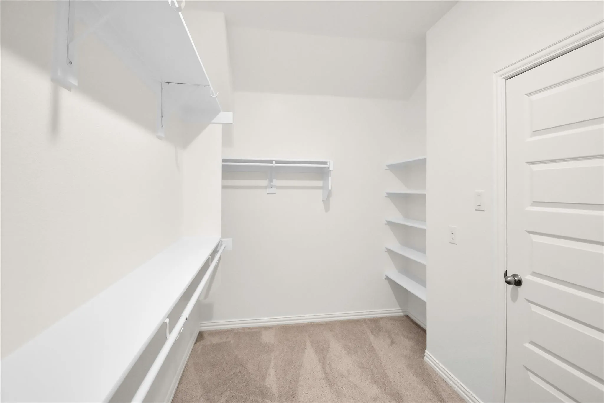 Walk-in closet featuring carpet flooring, built-in shelving, and hanging rods