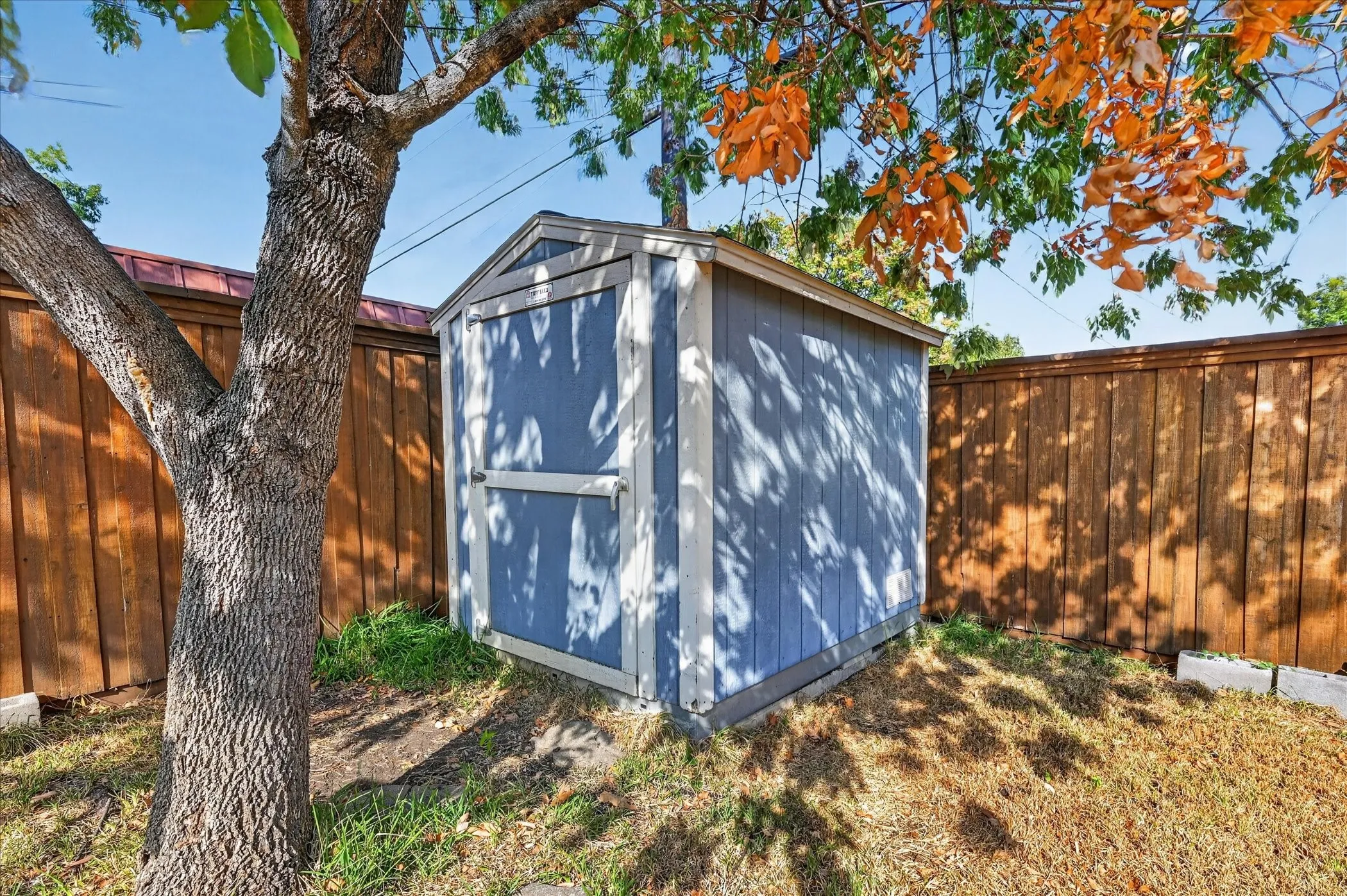 Freestanding storage shed with a gabled roof, wood-panel siding, and a wooden privacy fence