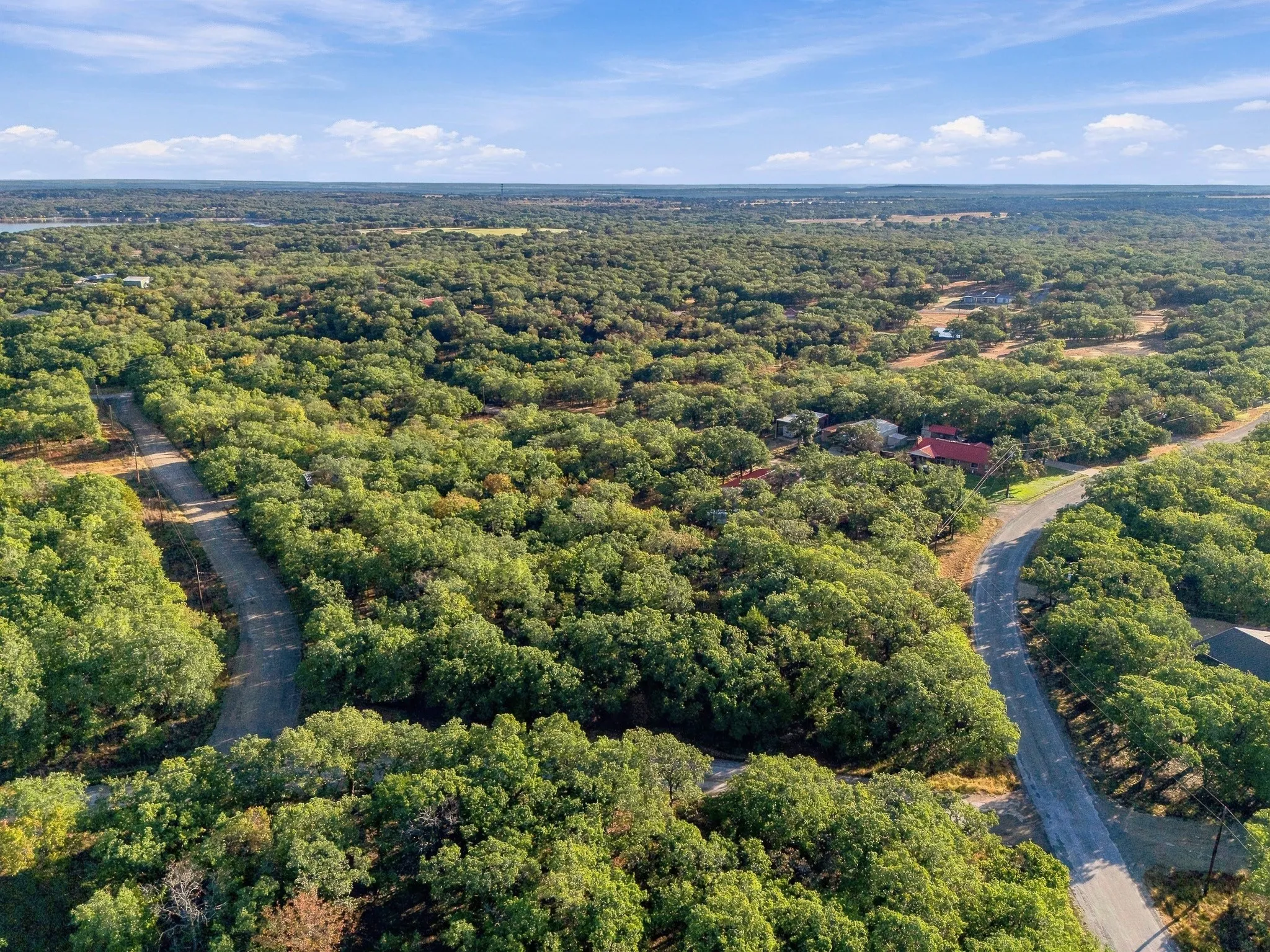 Expansive wooded landscape with winding paved roads and a distant body of water