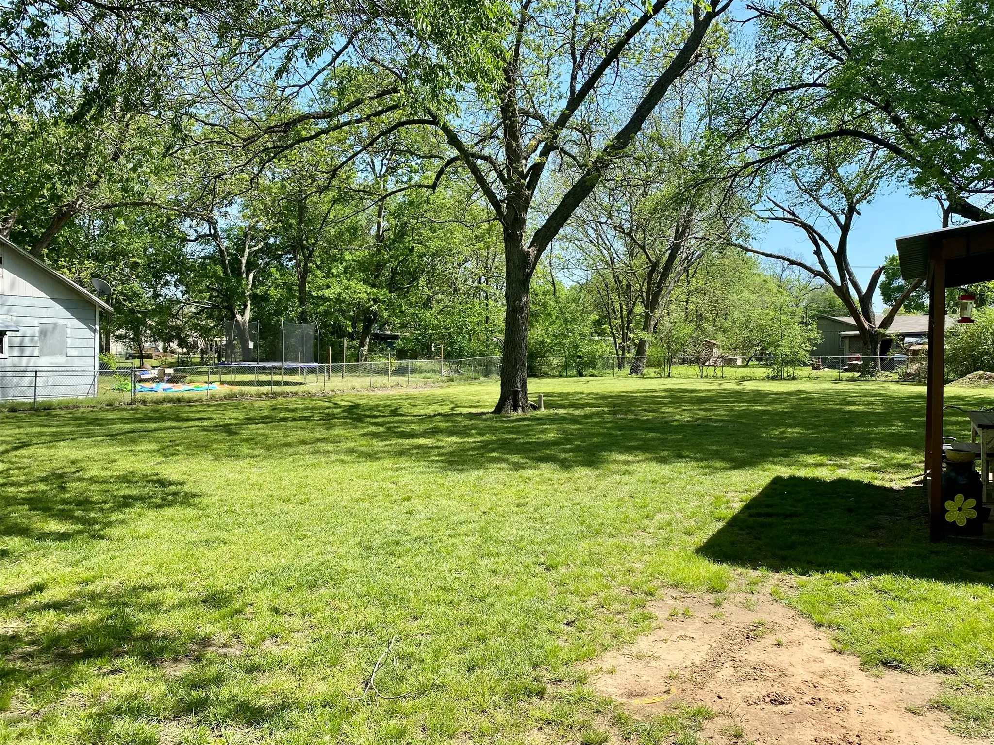 Huge pecan trees in fenced back yard