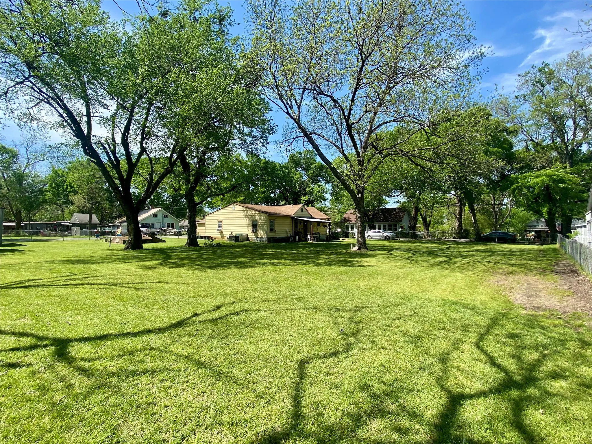 Huge pecan trees in fenced back yard
