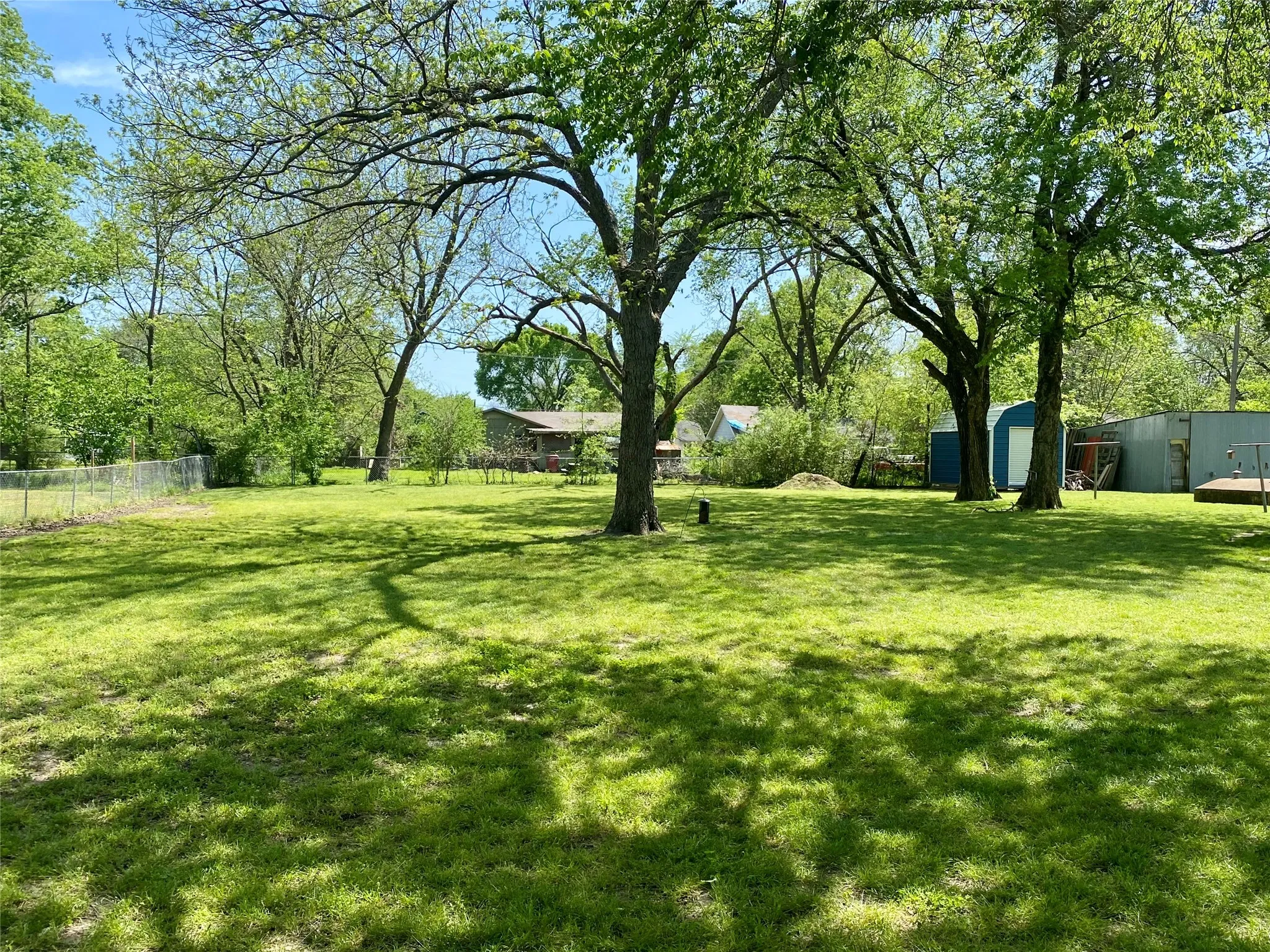 Huge pecan trees in fenced back yard